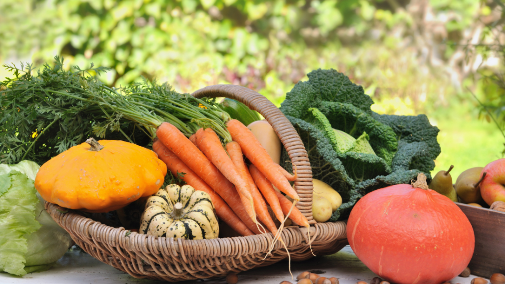 Les fruits et légumes d’automne