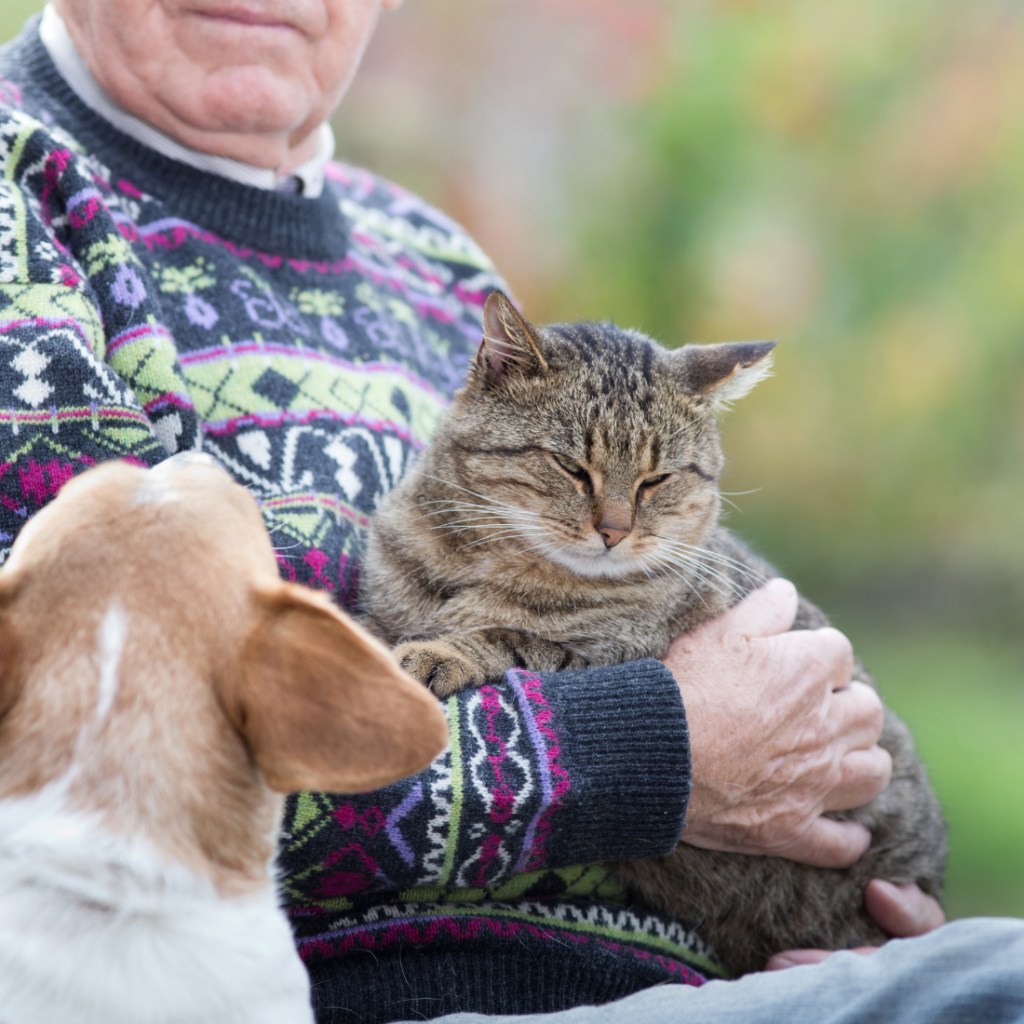 Senior en extérieur tenant un chat et côtoyant un chien, un bienfait idéal pour garantie une longue vie sereine