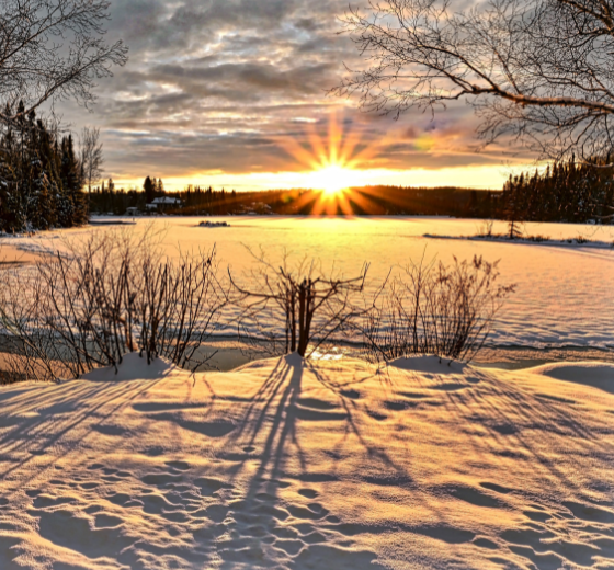 paysage sous la neige avec une belle luminosité idéale pour garder le moral