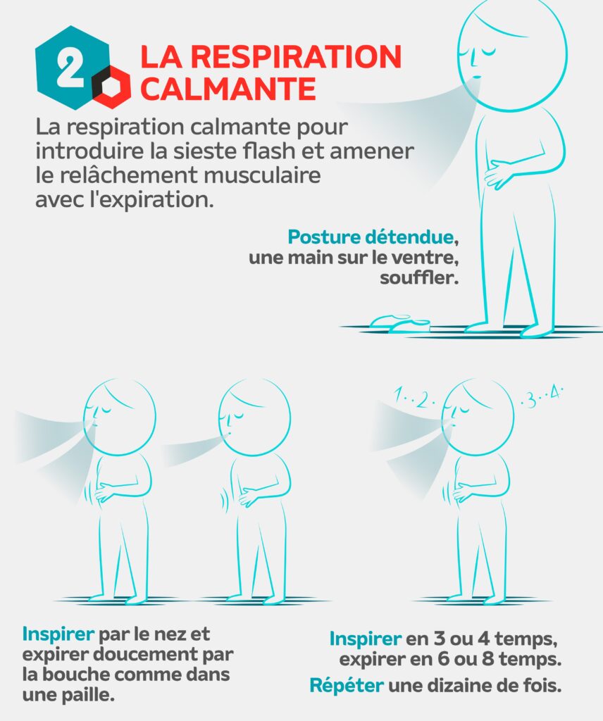 La respiration calmante pour
introduire la sieste flash et amener le relâchement musculaire avec l'expiration.
Posture détendue, une main sur le ventre, souffler.
Inspirer par le nez et expirer par la bouche comme une paille
Inspirer en 3 ou 4 temps, expirer en 6 ou 8 temps. Répéter une dizaine de fois une paille. 
