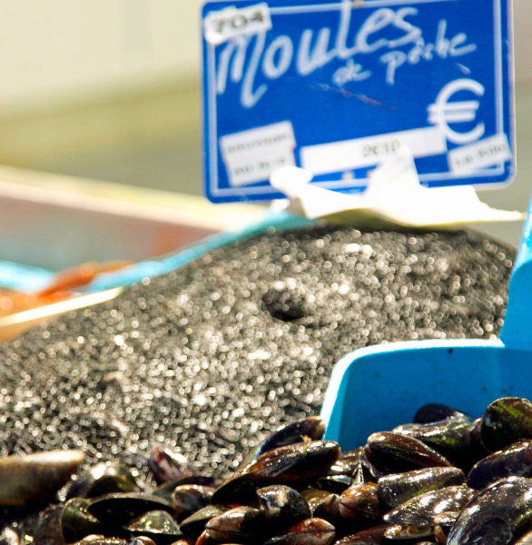 moules sur l'étal d'un marché