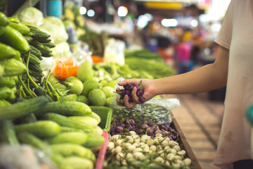 ma cuisine sans polluants sur l’alimentation et les contenants